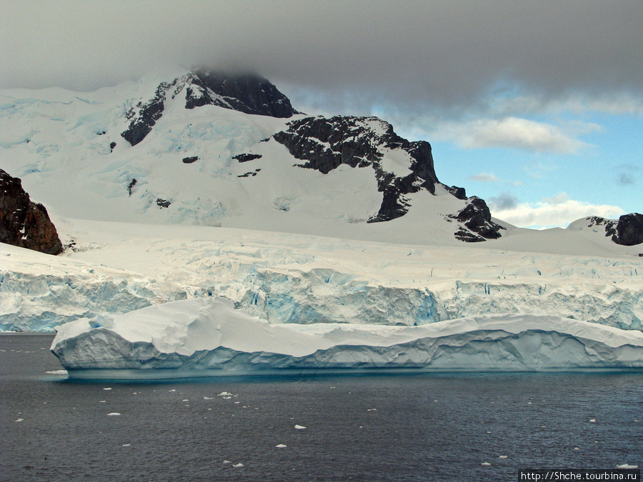 Антарктида. Robert island — первая высадка. Остров Роберта, Антарктида