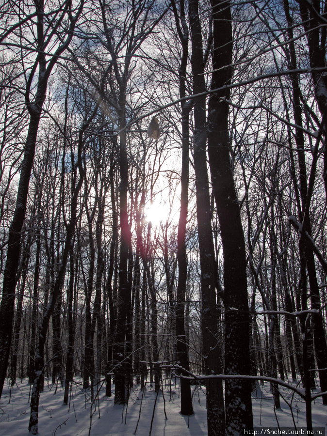 Зимняя прогулка вдоль реки Псел. Бишкинь, Украина