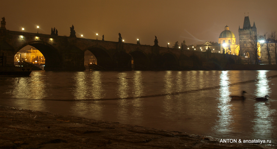 Вид с Кампы на Карлов мост Прага, Чехия