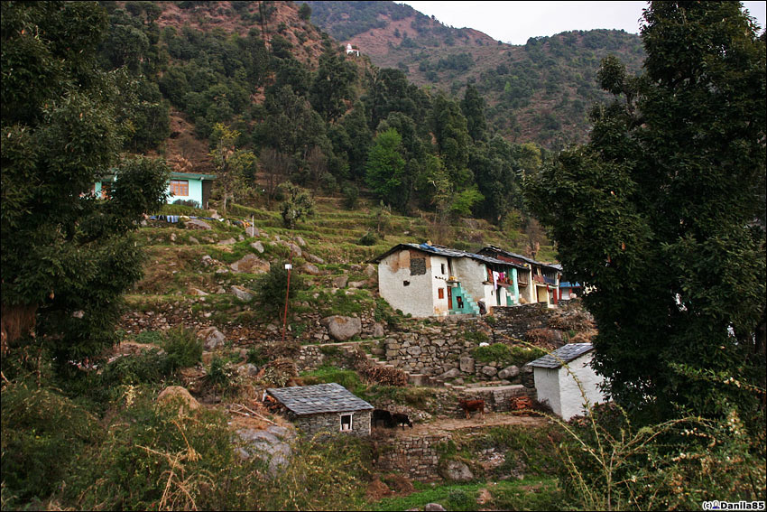 Гималайские домики. Дхарамсала, Индия