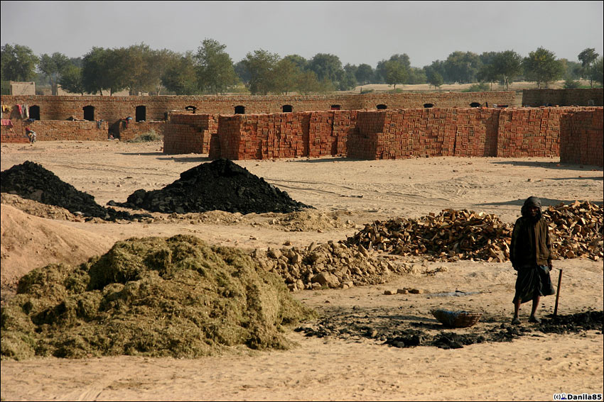 А вывоз кирпича осуществляется на верблюдах на заводиках поменьше, и на тракторах на заводиках побольше. Штат Пенджаб, Индия