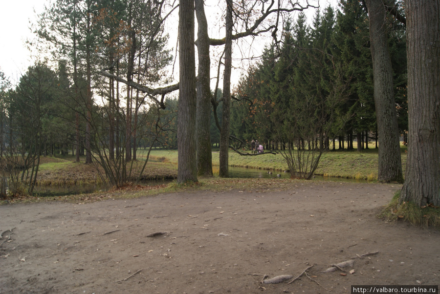 Ноябрь в Царском селе. Санкт-Петербург, Россия