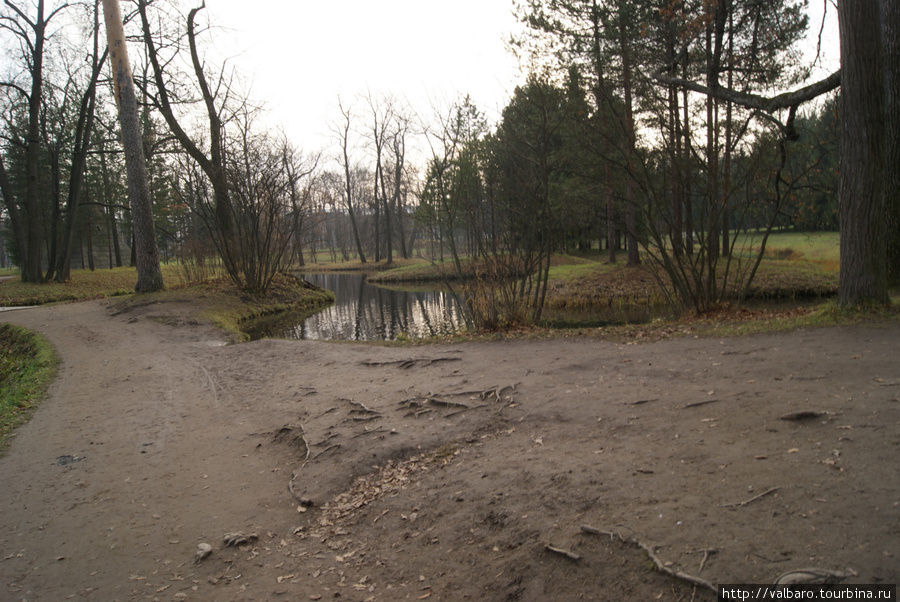 Ноябрь в Царском селе. Санкт-Петербург, Россия