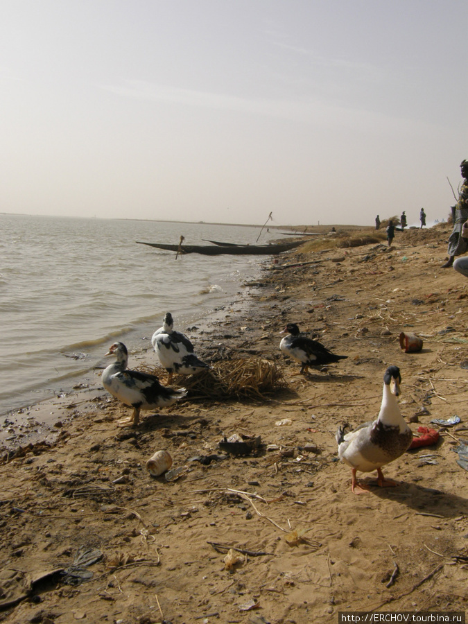 Деревня рыбаков бозо Область Мопти, Мали