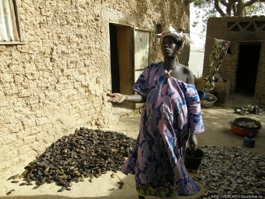 Деревня рыбаков бозо Область Мопти, Мали