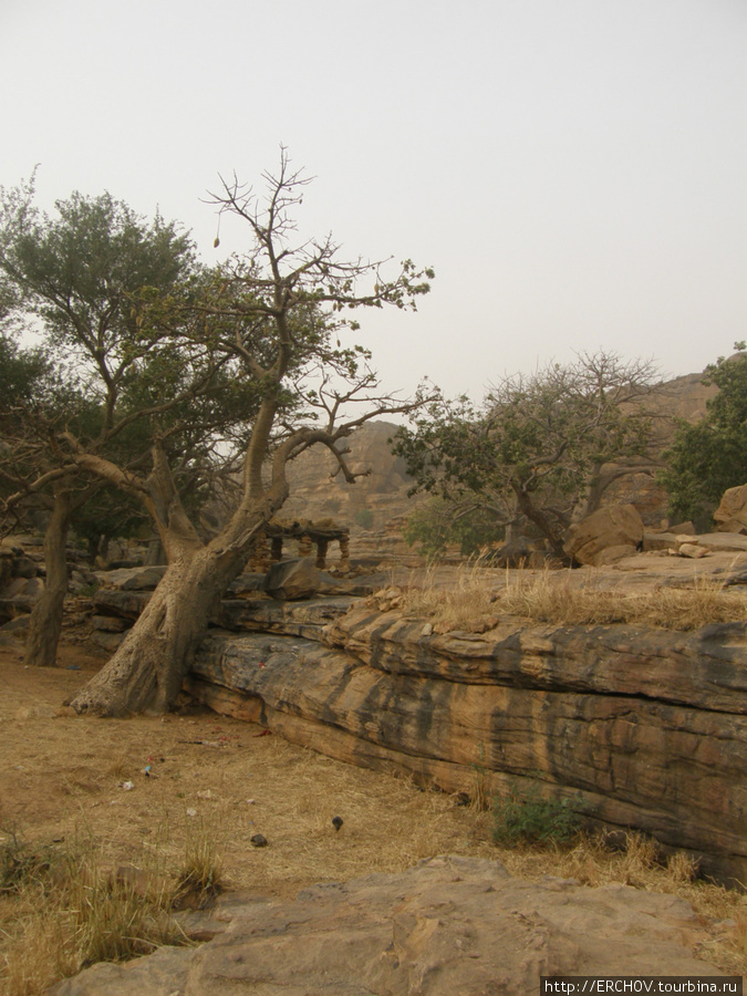 Догонская деревня Верхняя Банани Область Мопти, Мали