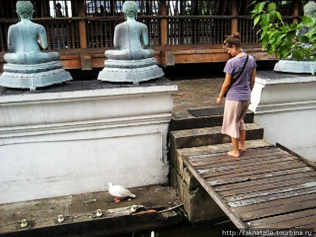 Храм на воде в Коломбо