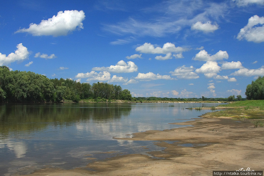 Остер Остер, Украина