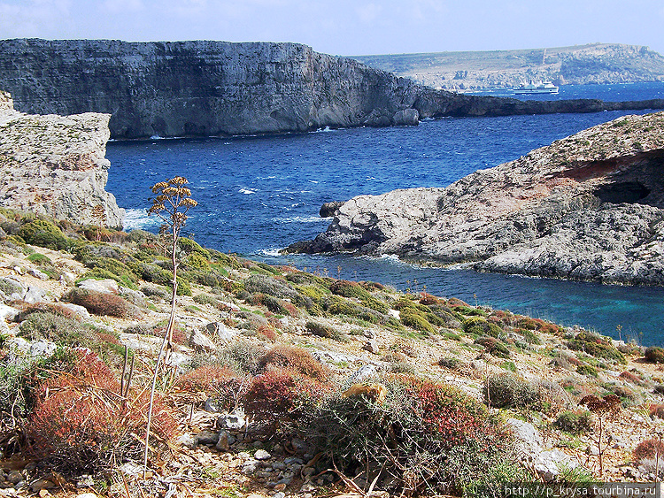 Прогулка по острову Комино Остров Комино, Мальта