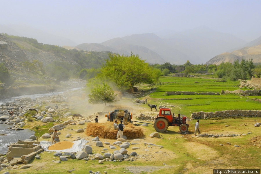 Афганистан — аграрная страна Афганистан