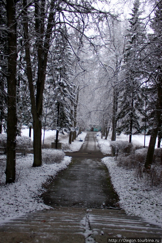 В зимнем парке Быково, Россия