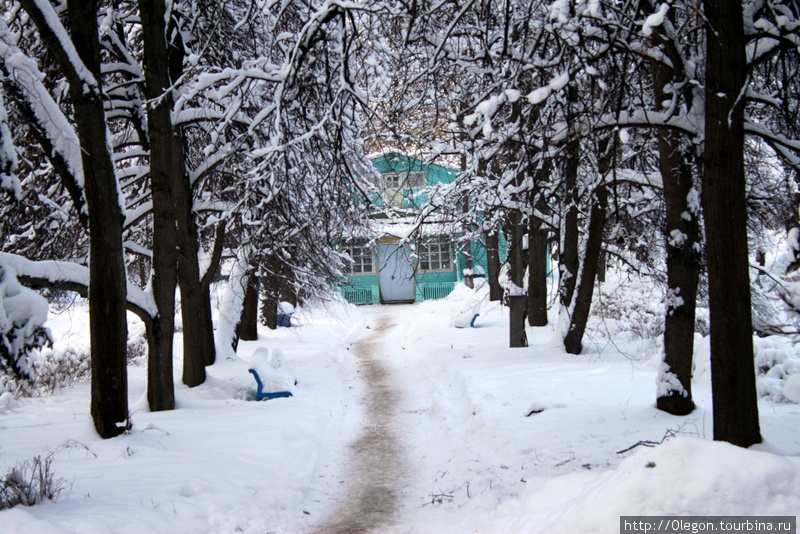 В зимнем парке Быково, Россия
