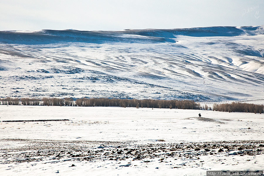 Монгольские степи Алтая Кош-Агач, Россия
