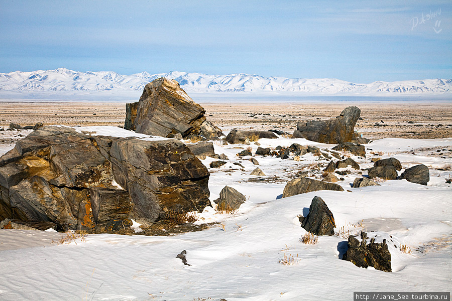 Монгольские степи Алтая Кош-Агач, Россия