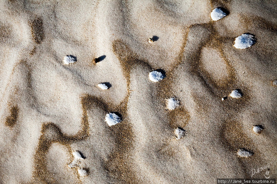 Узоры под ногами — кофе с молоком — песок со снегом. Кош-Агач, Россия