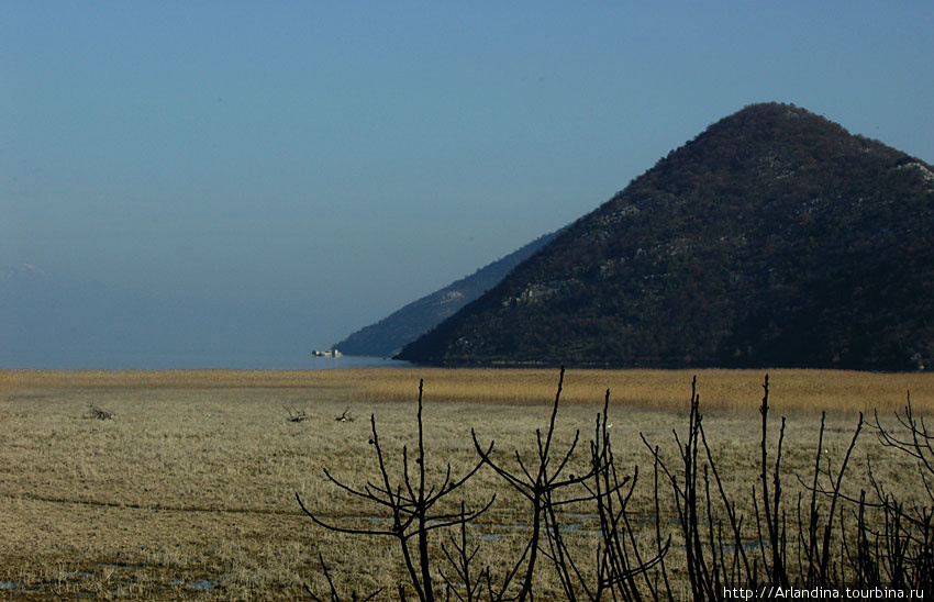 Скадарское озеро (Skadarsko jezero)... Черногория