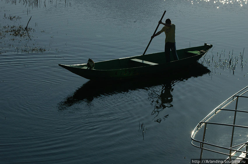 Скадарское озеро (Skadarsko jezero)... Черногория