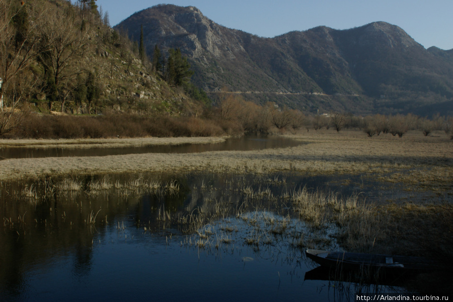 Скадарское озеро (Skadarsko jezero)... Черногория