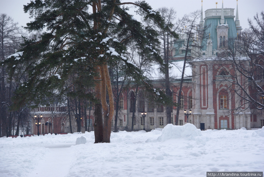 Зима не хочет, весна все еще не может, прогулки по Царицыно Москва, Россия
