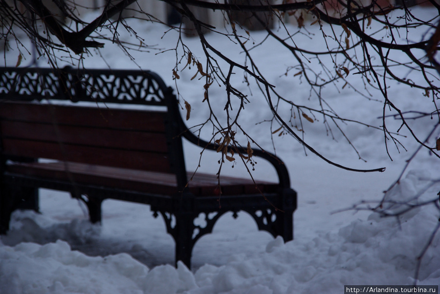 Зима не хочет, весна все еще не может, прогулки по Царицыно Москва, Россия