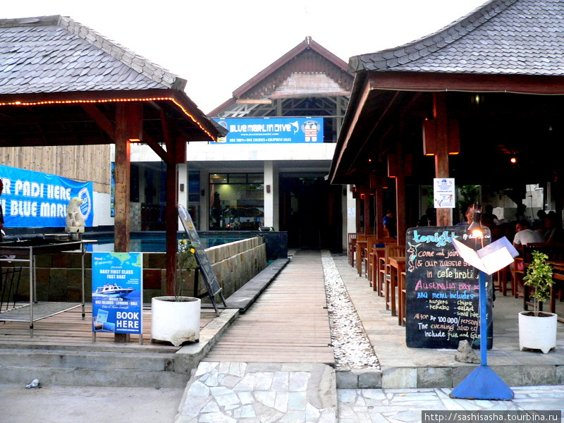 Голубой Марлин Остров Гили-Траванган, Индонезия