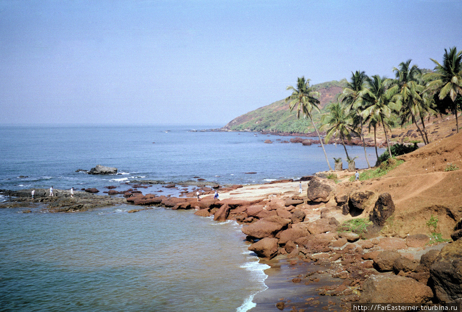 Красноватый оттенок пляжам Анжуны придают камни латерита, и их там изобилие. Анжуна, Индия