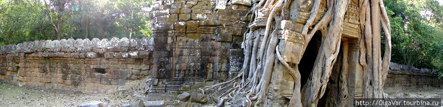 Окружающие храм стены и Восточные ворота, поглощенные деревом. Ангкор (столица государства кхмеров), Камбоджа