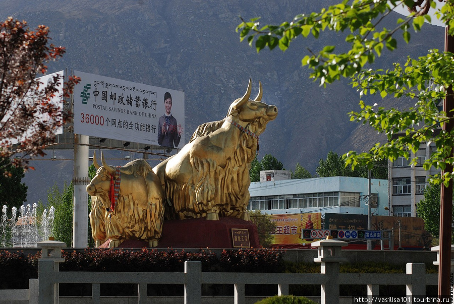 Памятник якам Лхаса, Китай