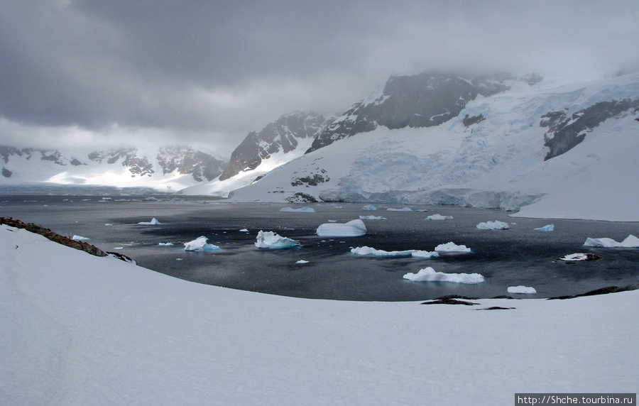 Черные воды Антарктики Остров Кавервиль, Антарктида