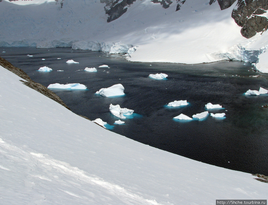 Вид с полгоры Остров Кавервиль, Антарктида