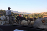 по сельским дорогам Турции