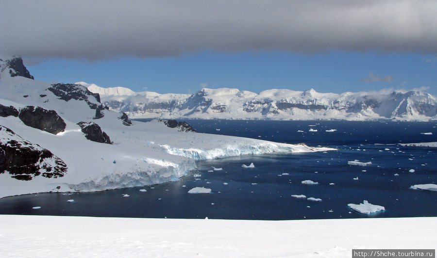 Антарктида  с высоты птичьего полета.  Какого же цвета вода? Остров Кавервиль, Антарктида