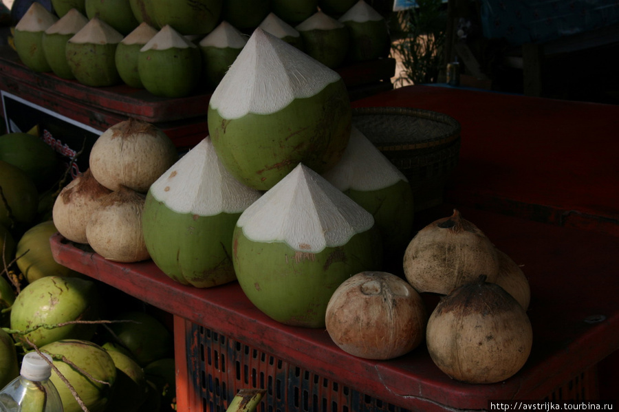 кокосы Таиланд