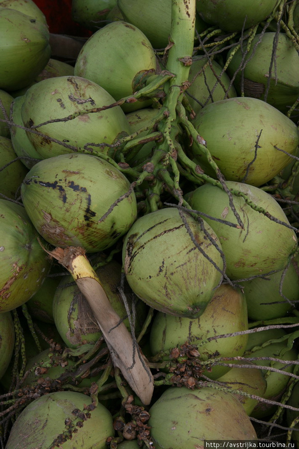 кокосы Таиланд
