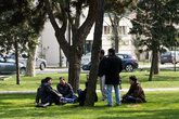 Студенты отдыхают в парке