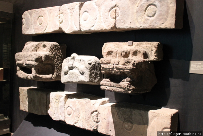 Введение в антропологию и доклассический период Мехико, Мексика