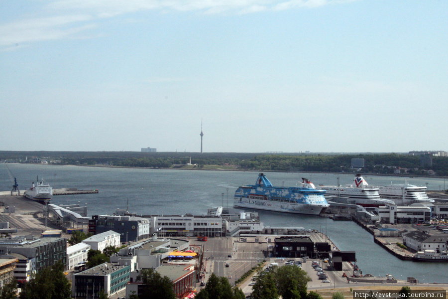 Город с соленым ветром Таллин, Эстония