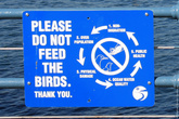 Причины почему кормить птиц нельзя.
Вольный перевод: птицы нажрутся, не захотят улетать, расплодятся, засрут вам весь океан, и будет всем плохо.