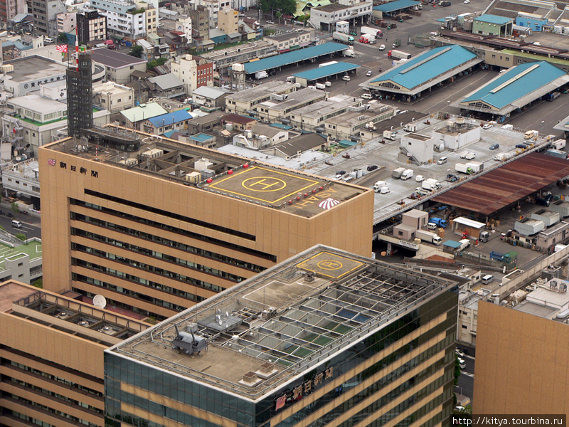 Токио из стекла и бетона Токио, Япония