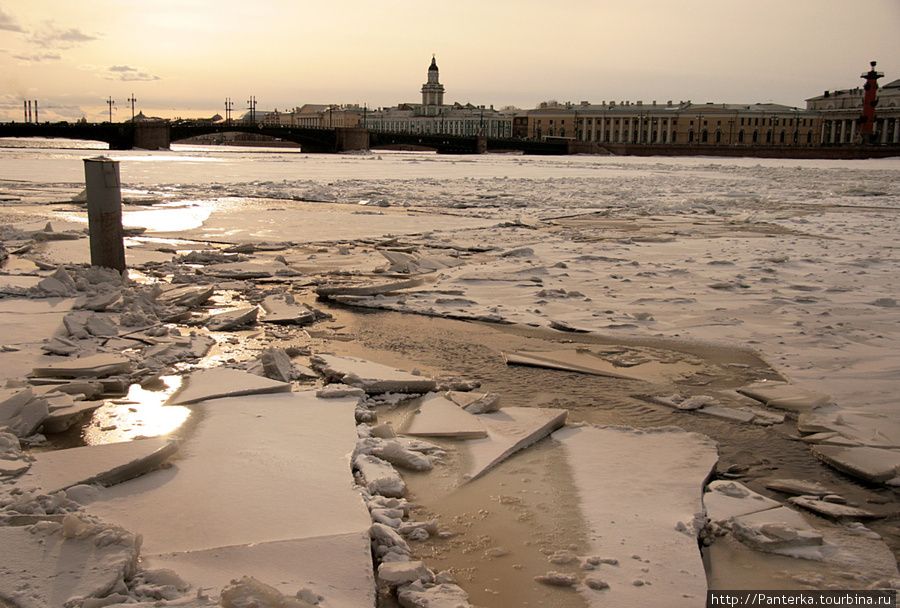 Немного солнца в холодной воде... Санкт-Петербург, Россия