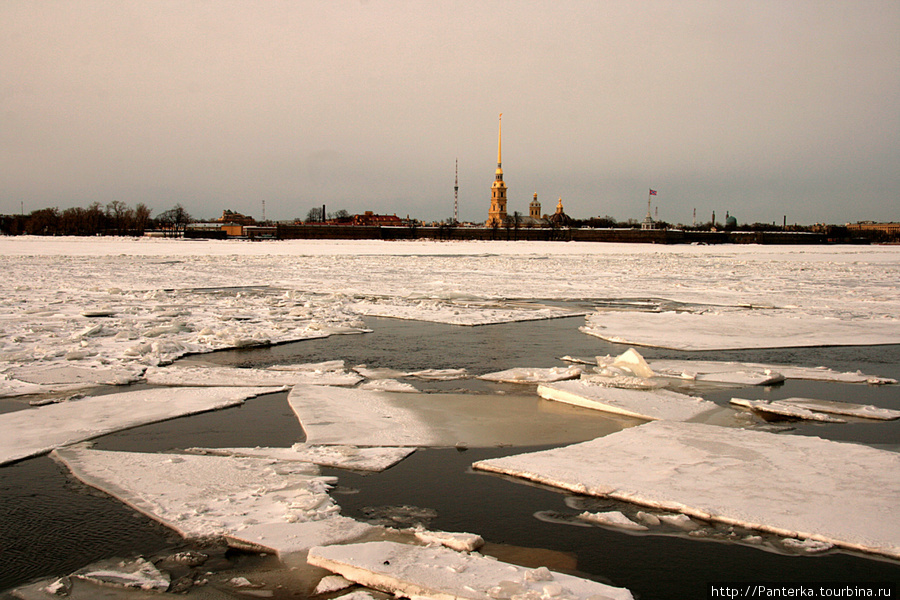 Немного солнца в холодной воде... Санкт-Петербург, Россия