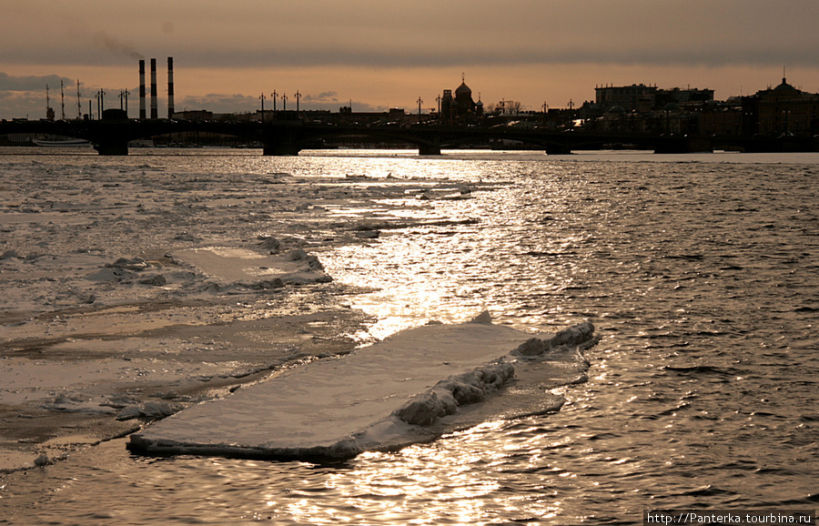 Немного солнца в холодной воде... Санкт-Петербург, Россия