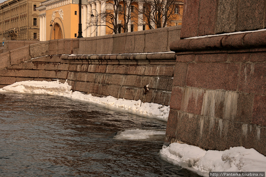 Немного солнца в холодной воде... Санкт-Петербург, Россия