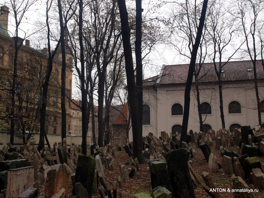 Старое еврейское кладбище Прага, Чехия