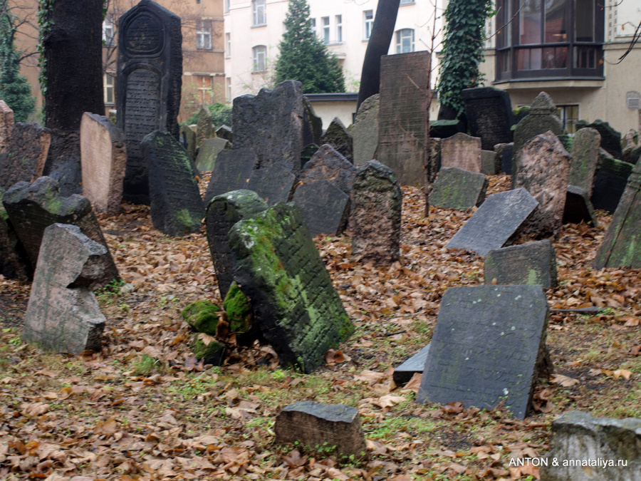 Многие памятники покосились. В одной могиле друг над другом хоронили до 12 человек Прага, Чехия