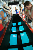 прогулка на лодке со стеклянным дном