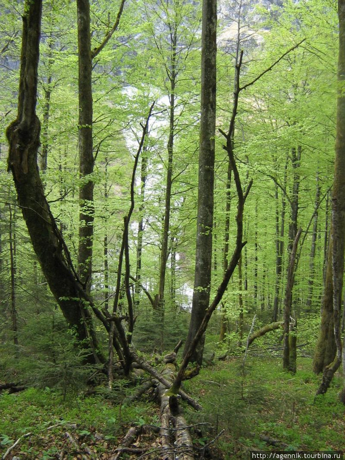 Ледник Рамзау-Берхтесгаден, Германия