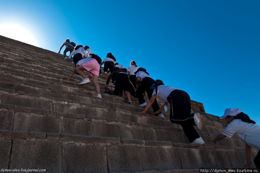 Взгромоздившись на первую пирамиду и сделав всего несколько снимков, мы увидели, что на экскурсию приехали ОНИ.
          Все сметающие на своем пути и не знающие усталости — ДЕТИ. Мехико, Мексика