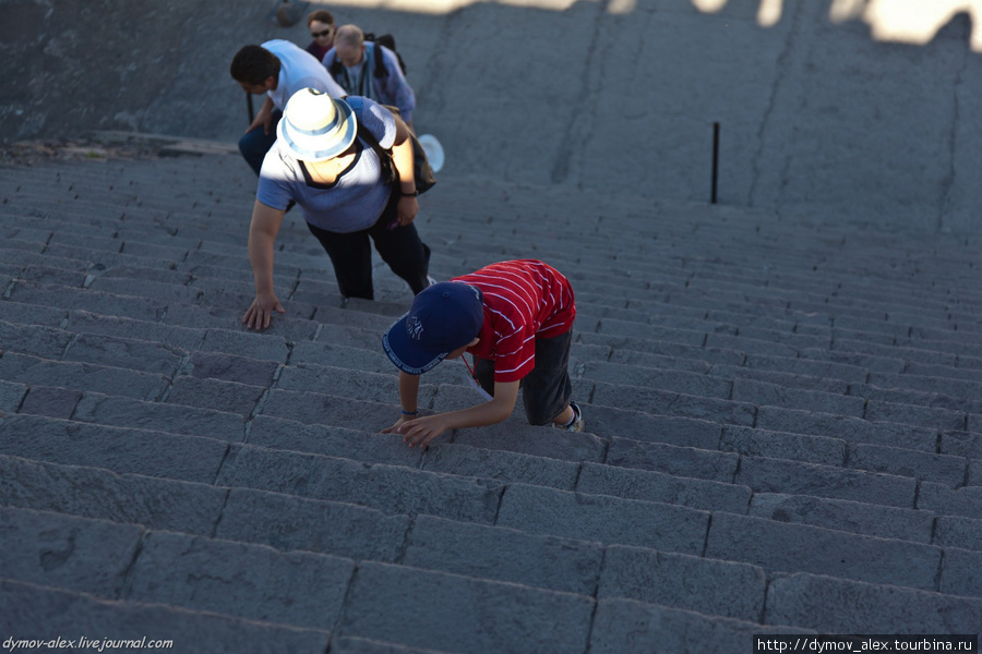 Любой отдельно взятый ребенок способен взобраться на любое количество пирамид любой высоты, лишь бы ему было интересно Мехико, Мексика