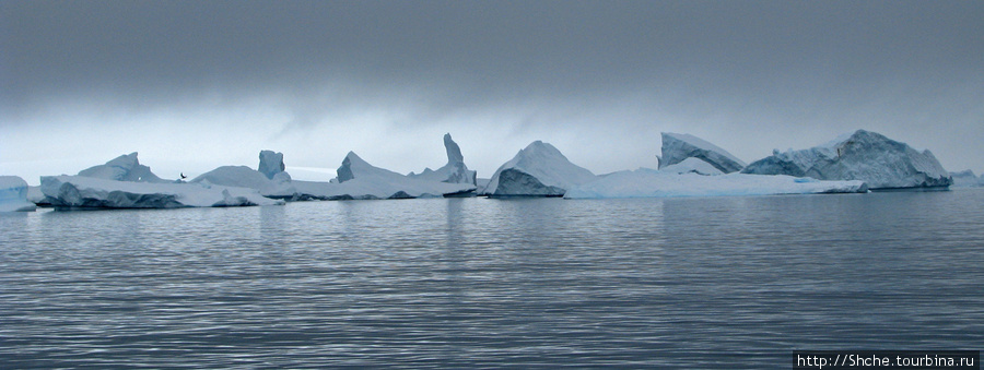 Метрах в 500 виднелось поле  умирающих айсбергов. Нам туда. Полуостров Уотербоат-Пойнт, Антарктида